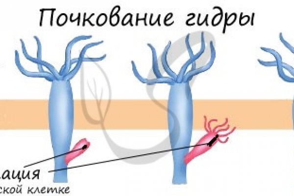 Кракен торговая
