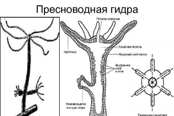 Кракен наркоплощадка