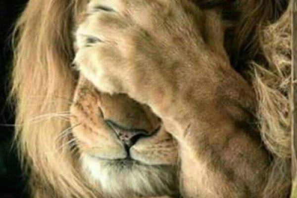 Сайты по продаже наркотиков