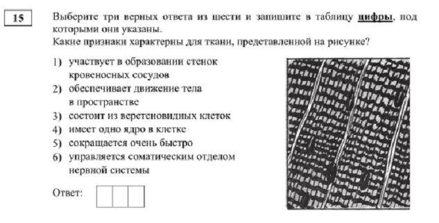Кракен вход ссылка kraken torion net